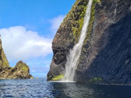 Flores Island