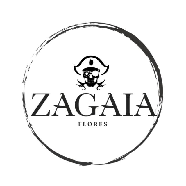 logozg