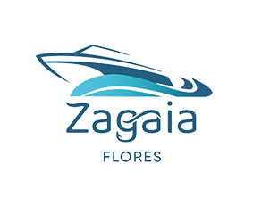 logozg